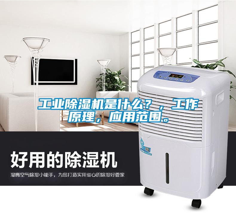 工業草莓视频下载网址是什麽？，工作原理，應用範圍。