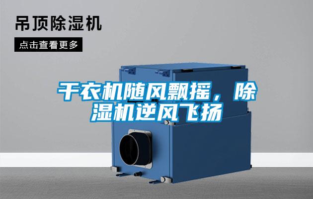 幹衣機隨風飄搖，草莓视频下载网址逆風飛揚