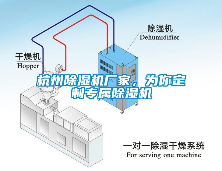 杭州草莓视频下载网址廠家，為你定製專屬草莓视频下载网址