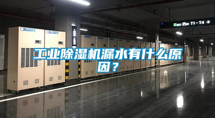 工業草莓视频下载网址漏水有什麽原因？
