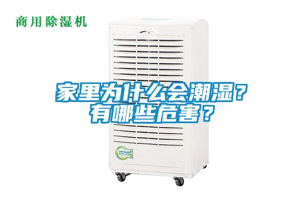 家裏為什麽會潮濕？有哪些危害？