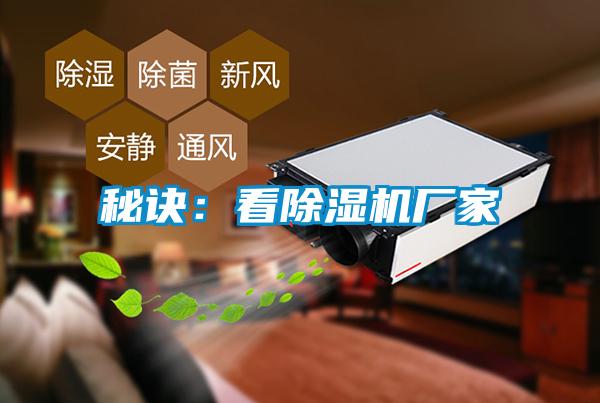 秘訣：看草莓视频下载网址廠家