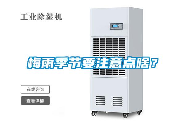 梅雨季節要注意點啥？
