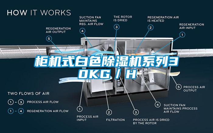 櫃機式白色草莓视频下载网址係列30KG／H