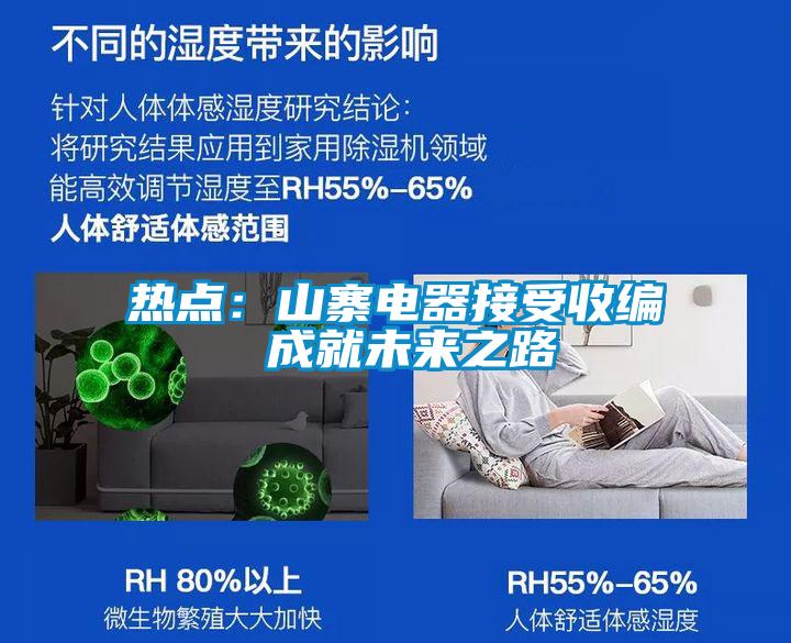熱點：山寨電器接受收編 成就未來之路