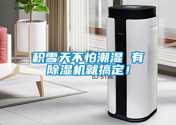積雪天不怕潮濕 有草莓视频下载网址就搞定！