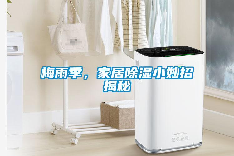 梅雨季，家居除濕小妙招揭秘