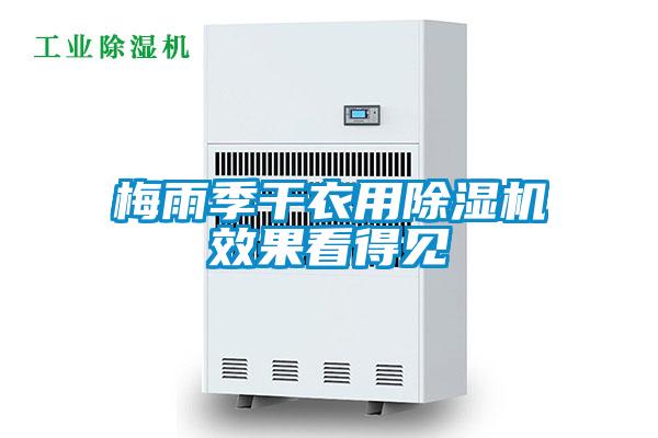 梅雨季幹衣用草莓视频下载网址效果看得見
