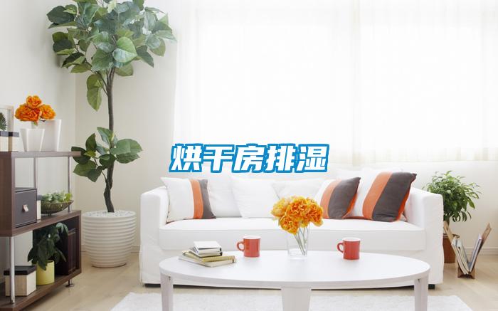 烘幹房排濕