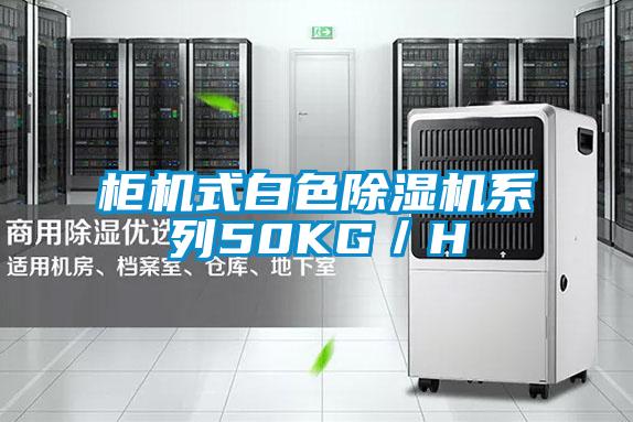 櫃機式白色草莓视频下载网址係列50KG／H