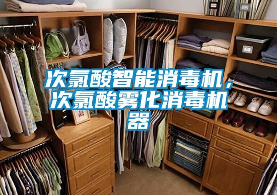 次氯酸智能消毒機，次氯酸霧化消毒機器