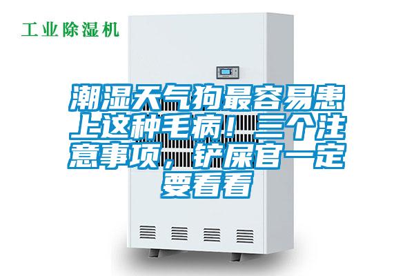 潮濕天氣狗最容易患上這種毛病！三個注意事項，鏟屎官一定要看看