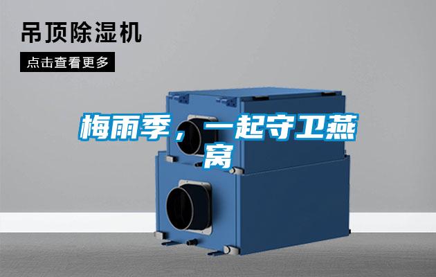 梅雨季，一起守衛燕窩