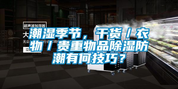 潮濕季節，幹貨／衣物／貴重物品除濕防潮有何技巧？