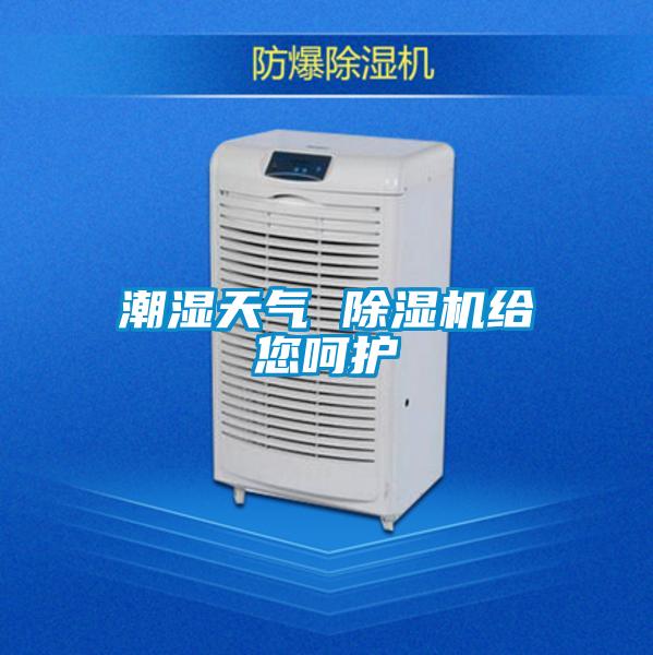 潮濕天氣 草莓视频下载网址給您嗬護