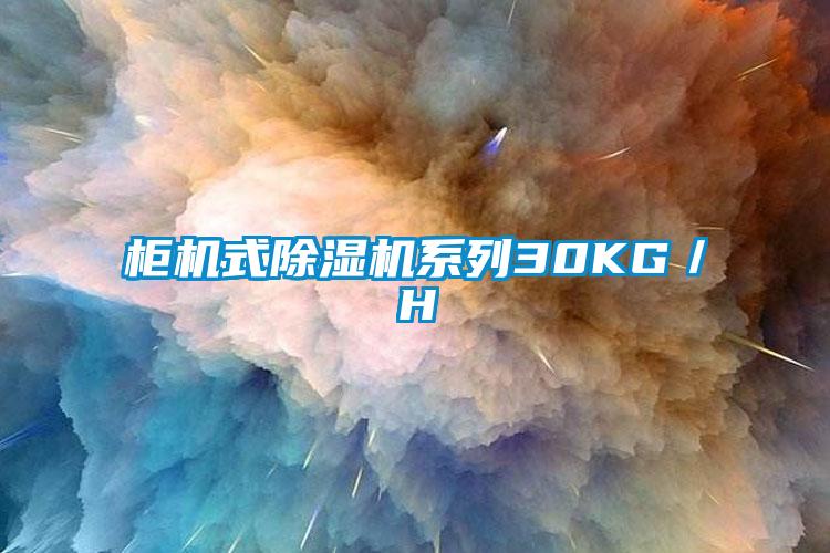 櫃機式草莓视频下载网址係列30KG／H