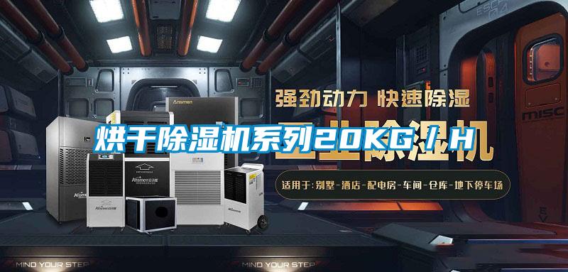 烘幹草莓视频下载网址係列20KG／H
