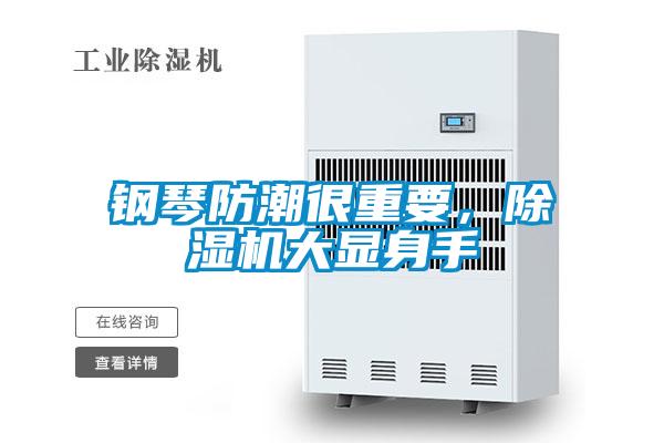鋼琴防潮很重要，草莓视频下载网址大顯身手