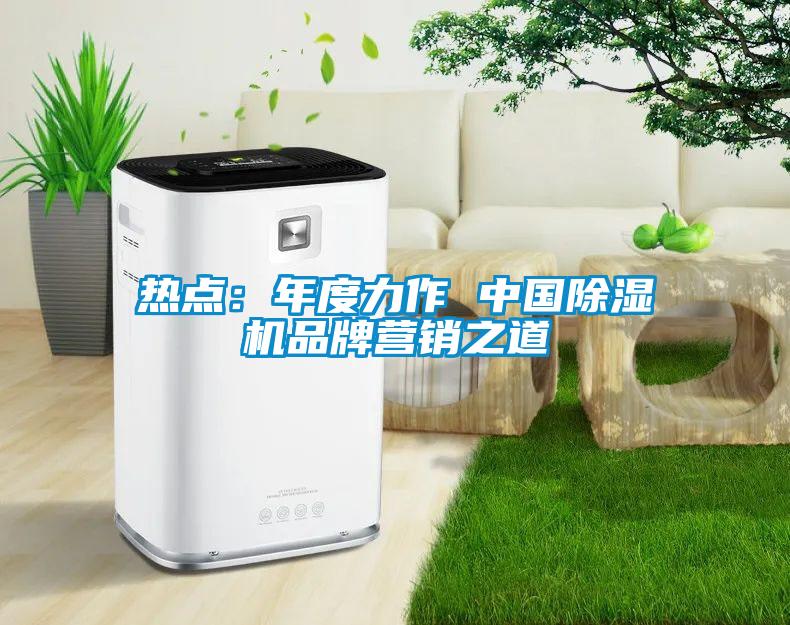 熱點：年度力作 中國草莓视频下载网址品牌營銷之道