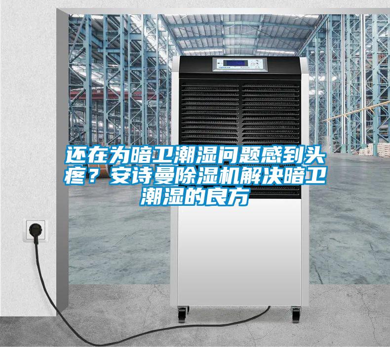 還在為暗衛潮濕問題感到頭疼？草莓视频污在线观看草莓视频下载网址解決暗衛潮濕的良方