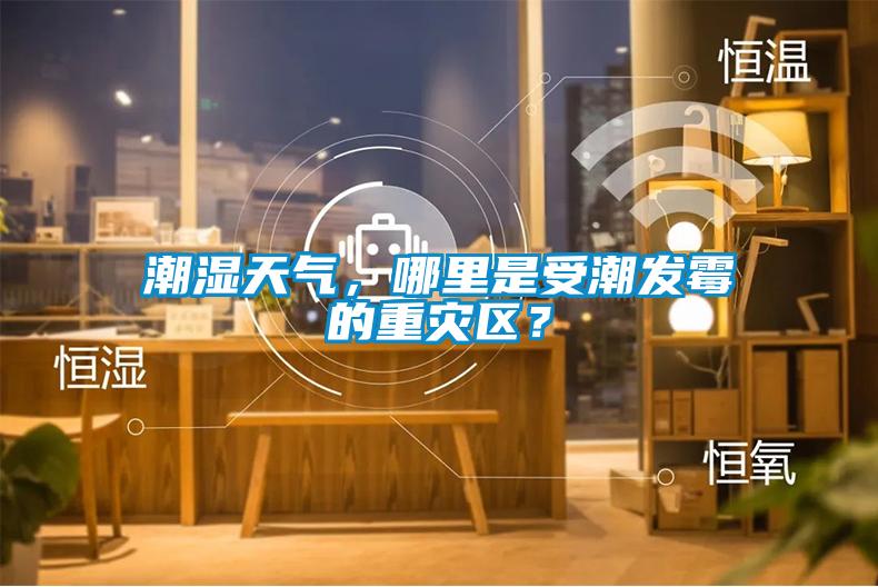 潮濕天氣，哪裏是受潮發黴的重災區？