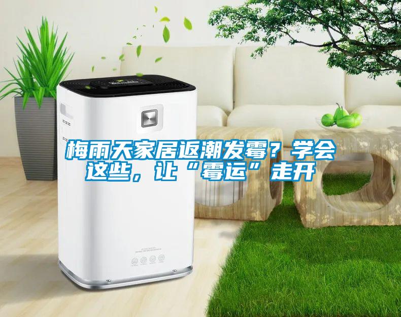 梅雨天家居返潮發黴？學會這些，讓“黴運”走開