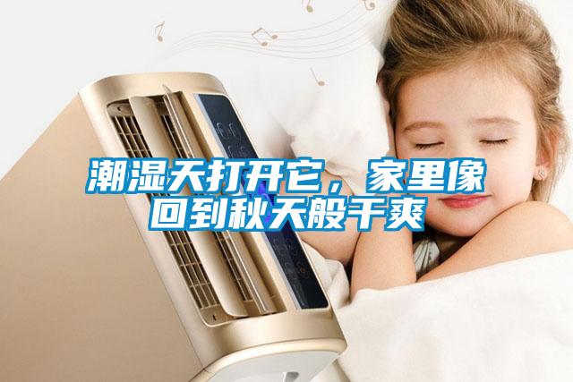 潮濕天打開它，家裏像回到秋天般幹爽
