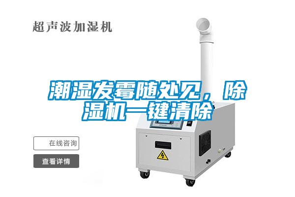 潮濕發黴隨處見，草莓视频下载网址一鍵清除