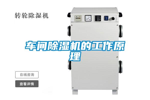 車間草莓视频下载网址的工作原理