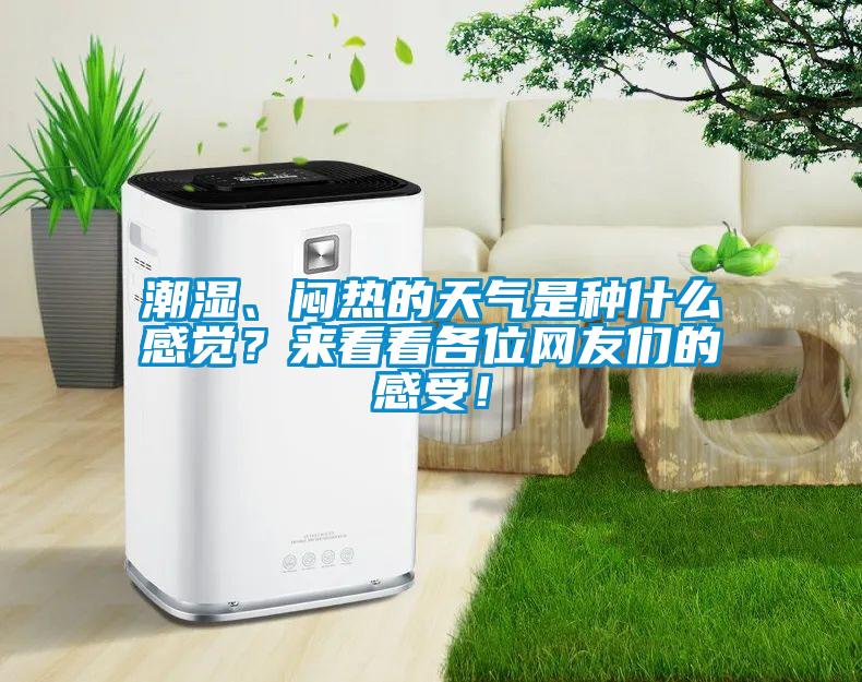 潮濕、悶熱的天氣是種什麽感覺？來看看各位網友們的感受！