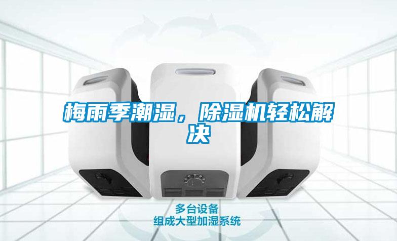 梅雨季潮濕，草莓视频下载网址輕鬆解決
