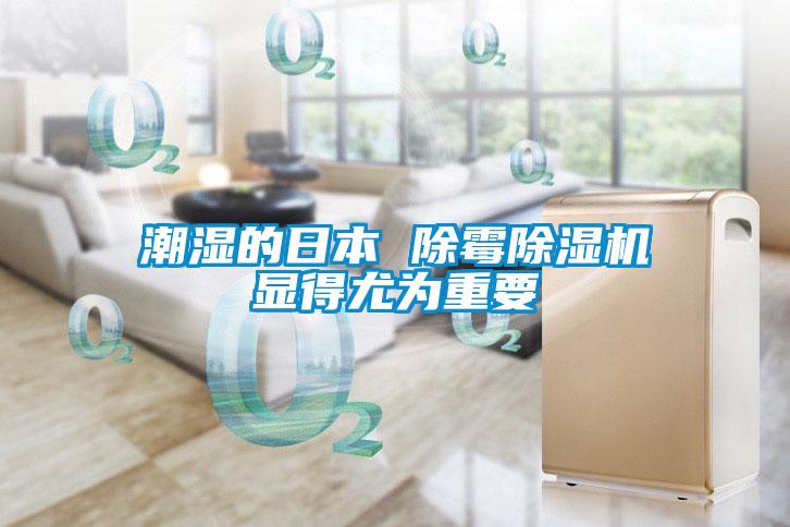 潮濕的日本 除黴草莓视频下载网址顯得尤為重要