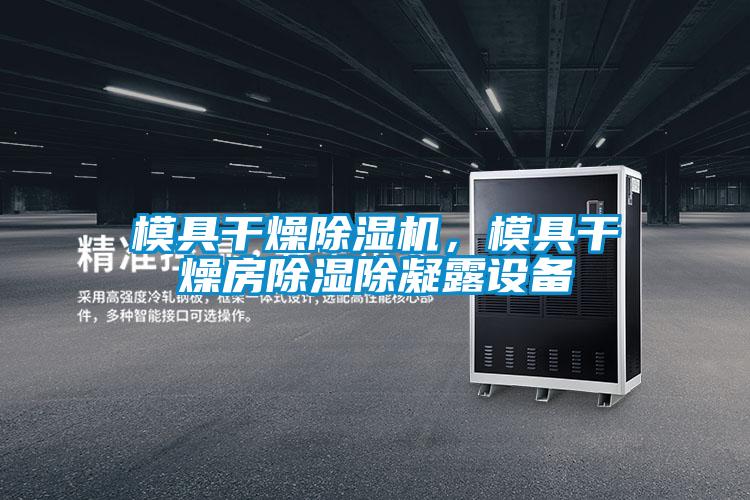 模具幹燥草莓视频下载网址，模具幹燥房除濕除凝露設備