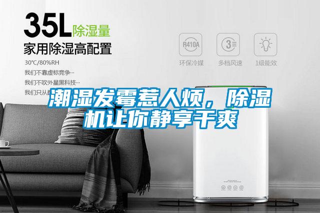 潮濕發黴惹人煩，草莓视频下载网址讓你靜享幹爽