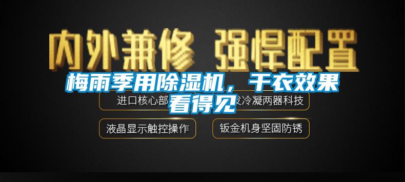 梅雨季用草莓视频下载网址，幹衣效果看得見