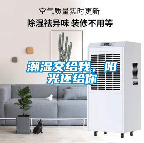 潮濕交給我，陽光還給你
