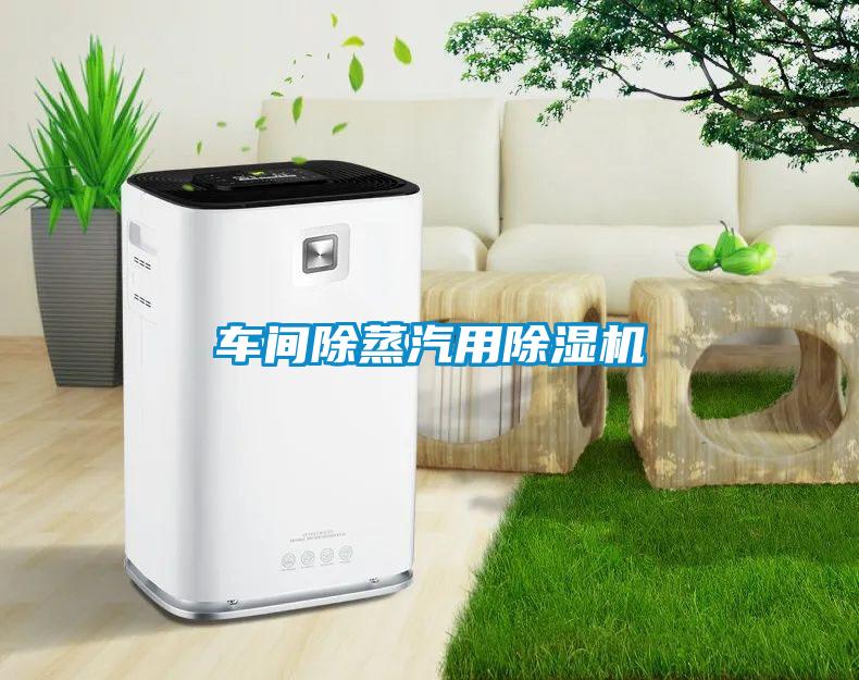 車間除蒸汽用草莓视频下载网址