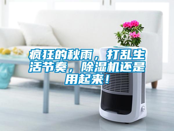 瘋狂的秋雨，打亂生活節奏，草莓视频下载网址還是用起來！