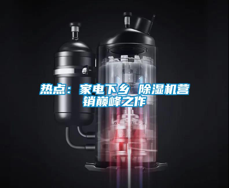 熱點：家電下鄉 草莓视频下载网址營銷巔峰之作