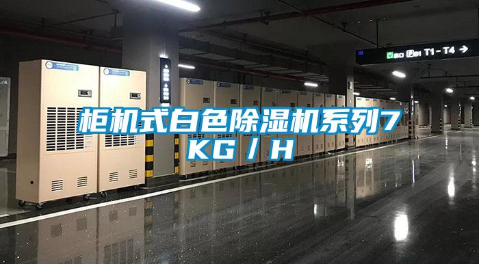 櫃機式白色草莓视频下载网址係列7KG／H