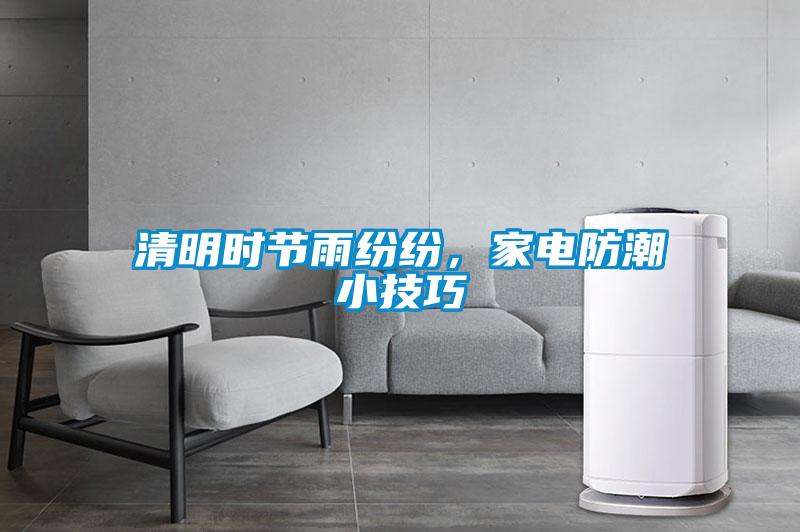 清明時節雨紛紛，家電防潮小技巧
