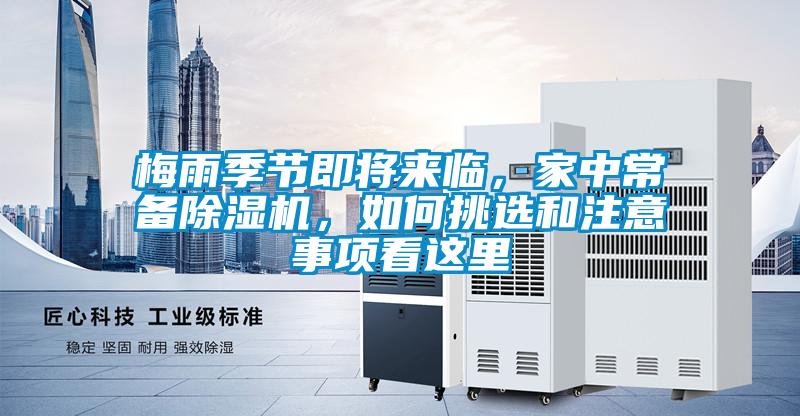 梅雨季節即將來臨，家中常備草莓视频下载网址，如何挑選和注意事項看這裏