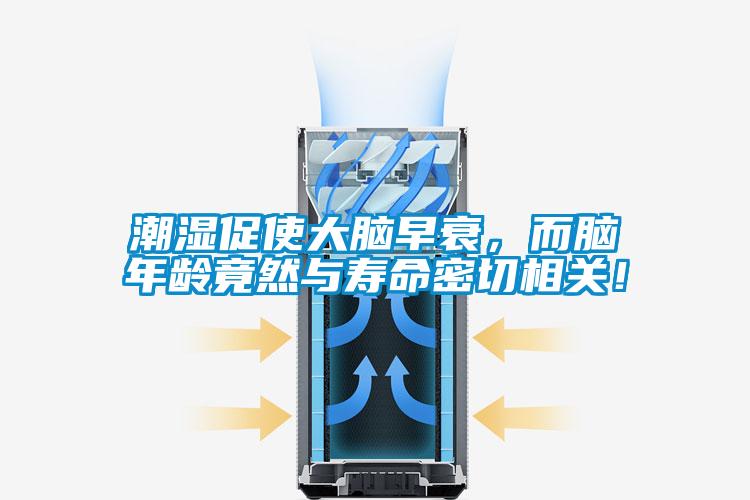 潮濕促使大腦早衰，而腦年齡竟然與壽命密切相關！