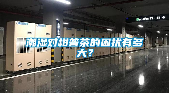潮濕對柑普茶的困擾有多大？