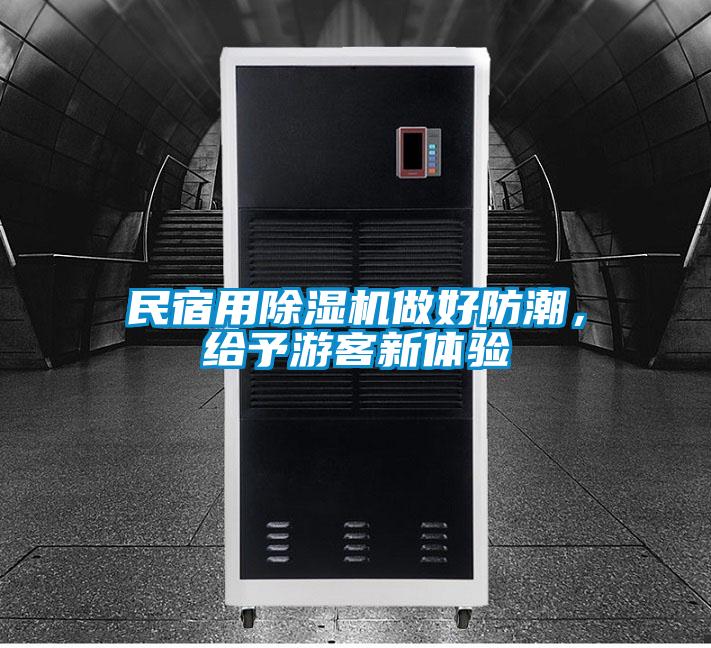 民宿用草莓视频下载网址做好防潮，給予遊客新體驗