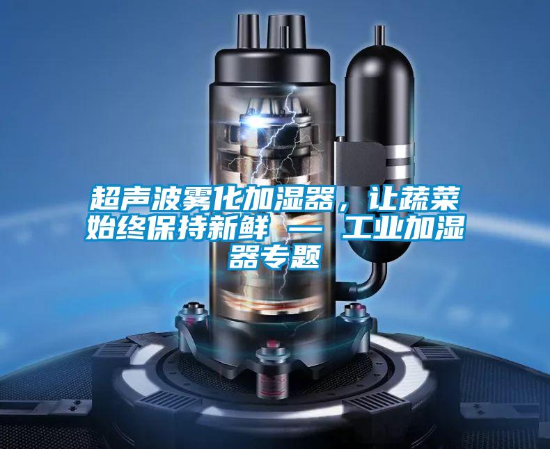 超聲波霧化加濕器，讓蔬菜始終保持新鮮 — 工業加濕器專題