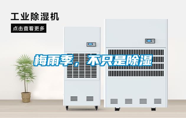 梅雨季，不隻是除濕