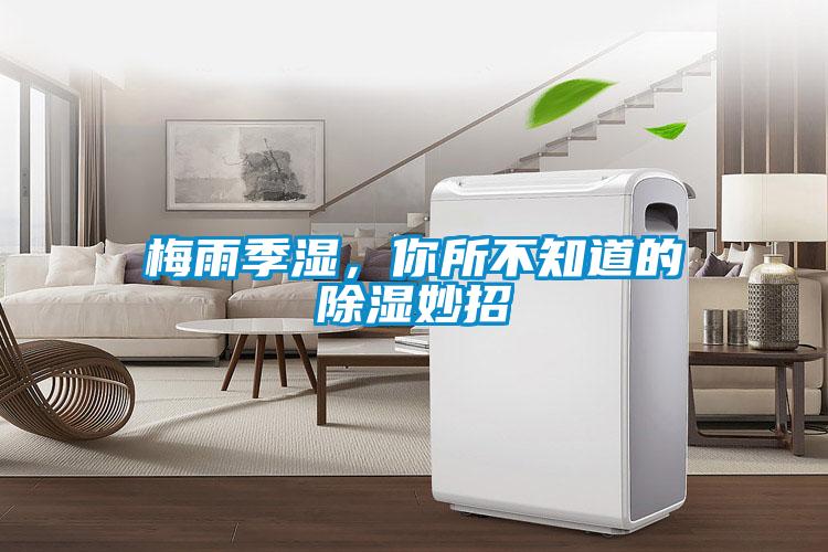 梅雨季濕，你所不知道的除濕妙招