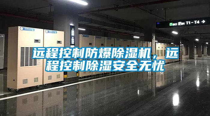 遠程控製防爆草莓视频下载网址，遠程控製除濕安全無憂