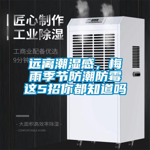 遠離潮濕感，梅雨季節防潮防黴這5招你都知道嗎
